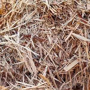 Щепа для арболита оптом в Новом Уренгое и других различных марок заказать от 16 тонн